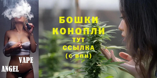 гидропоника Богородск