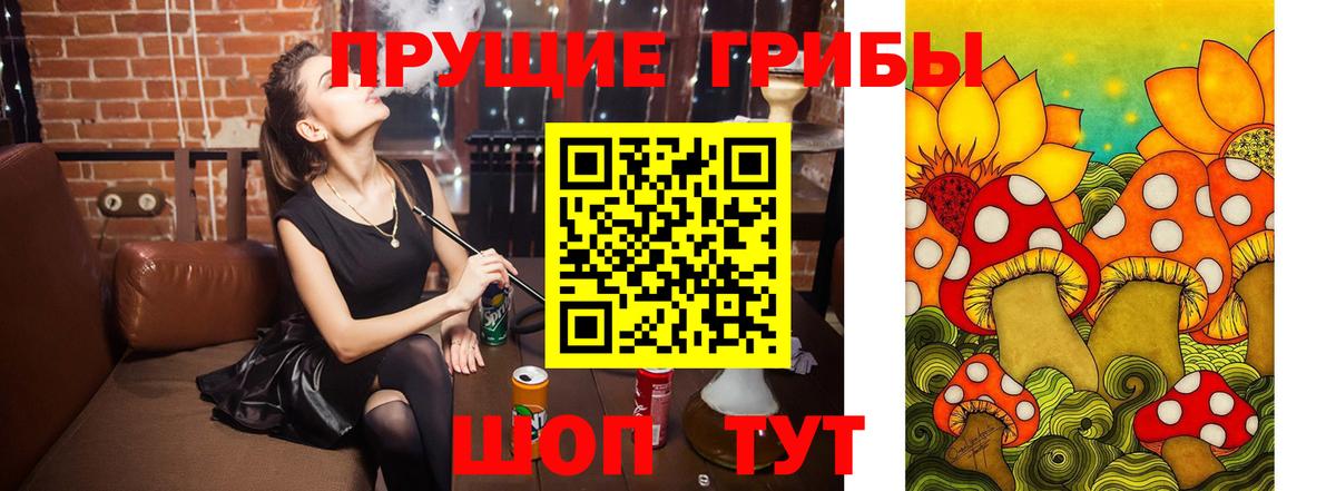 Галлюциногенные грибы мицелий Улан-Удэ