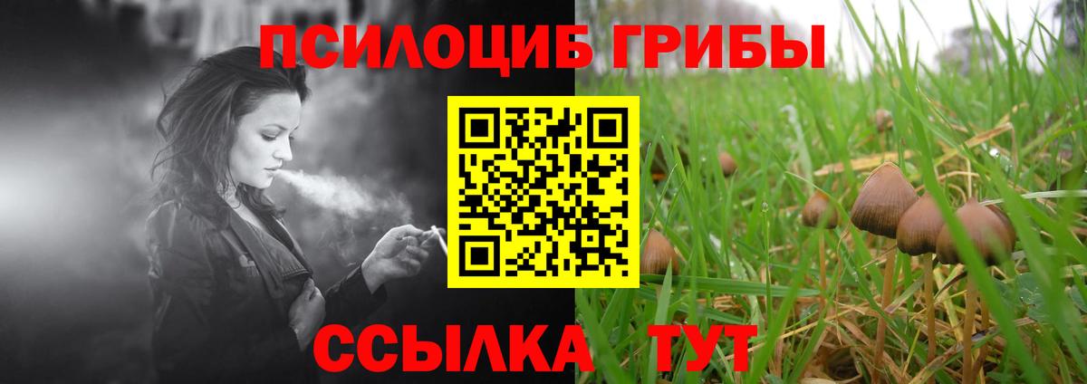 Псилоцибиновые грибы мицелий  Вход с VPN  Улан-Удэ 